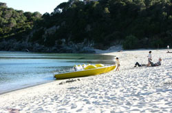 Spiaggia di Fetovaia - Isola d'Elba